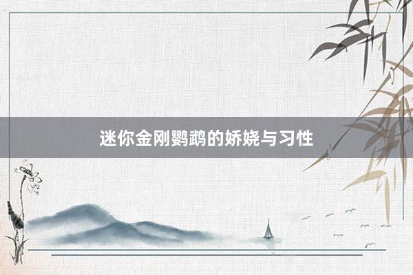 迷你金刚鹦鹉的娇娆与习性