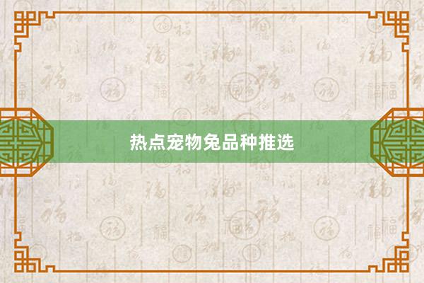 热点宠物兔品种推选